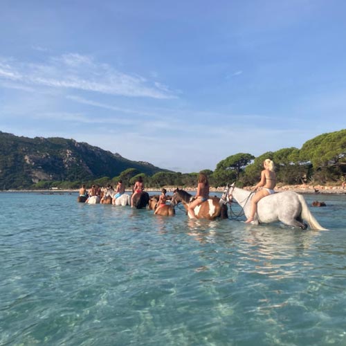 Activité équitation à Santa Giulia Porto-Vecchio